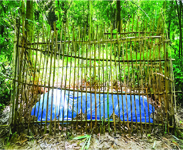 Image of মোসা: রিতা আক্তার